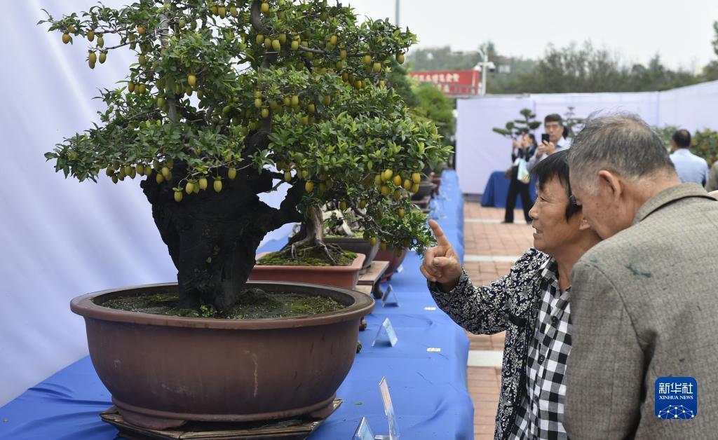 葡京游戏官方网站